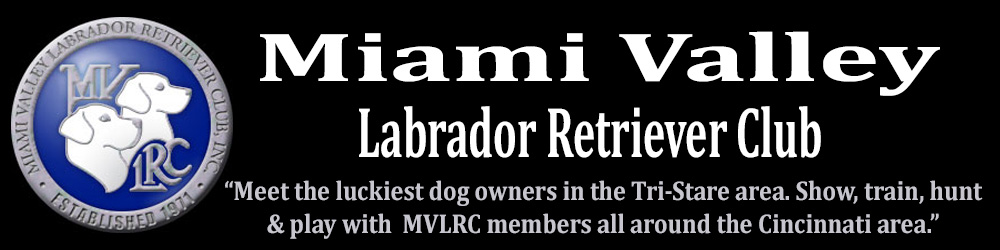MVLRC Miami Valley Labrador Retriever Club Specialty Breed Club Labradors Labs